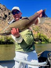 Jack Trout Fly Fishing