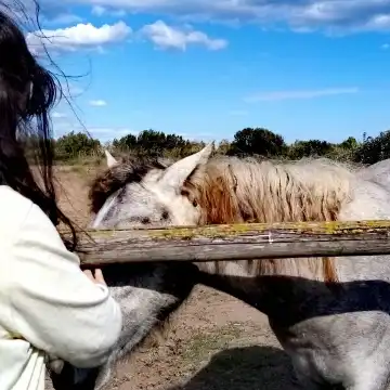 Hotels near Llobregat Delta