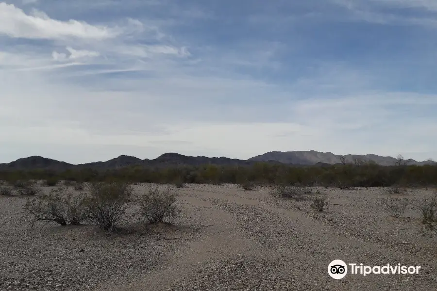 Sonoran Desert National Monument