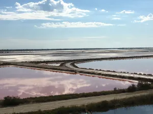 Salin d’Aigues-Mortes