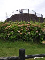 Odawara Suwanohara Park