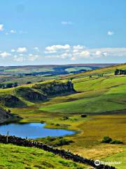 Parc naturel du Northumberland