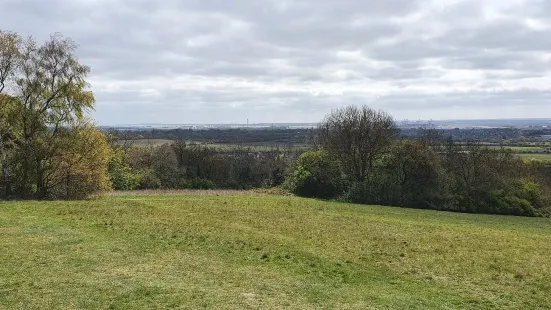 Langdon Hills Country Park