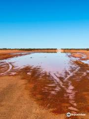 Sturt National Park