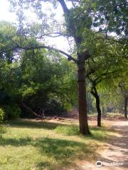 Sarthana Nature Park