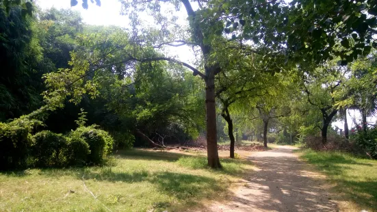 Sarthana Nature Park