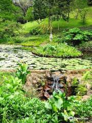 Makaranga Garden Lodge