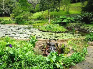 Makaranga Garden Lodge