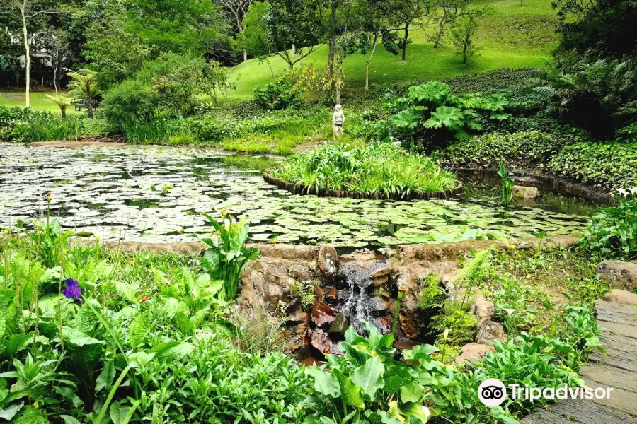 Makaranga Botanical Garden