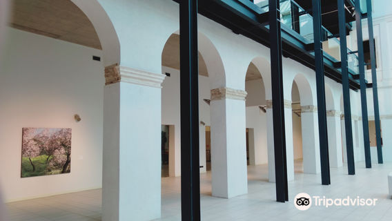 Cultural Center Altinate San Gaetano