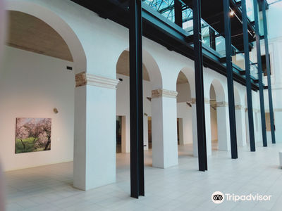 Cultural Center Altinate San Gaetano