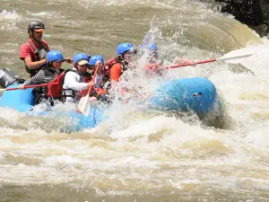 French Broad Rafting Expeditions