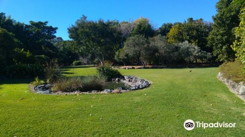 North Coast Regional Botanic Garden - Coffs Harbour