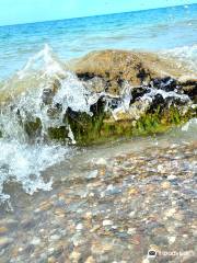 Blacks Point Beach