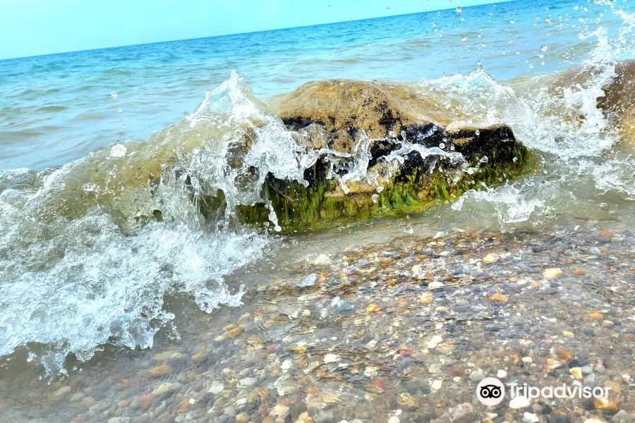 Blacks Point Beach