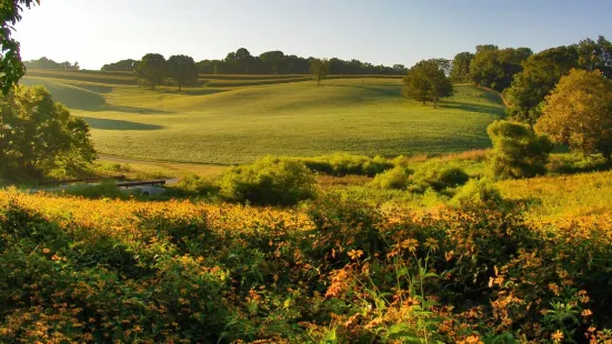 Stroud Preserve