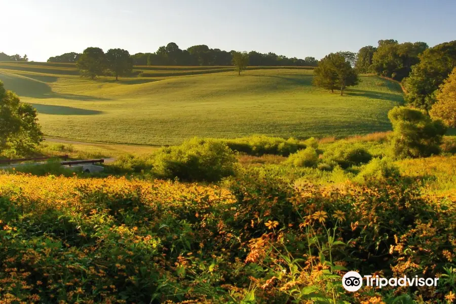 Natural Lands' Stroud Preserve