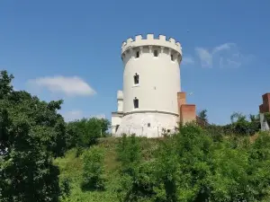 Ardud Medieval Fortress