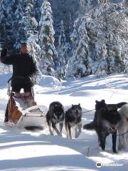 White Wilderness Sled Dog Adventures