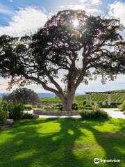 Villa San-Juliette Vineyard & Winery