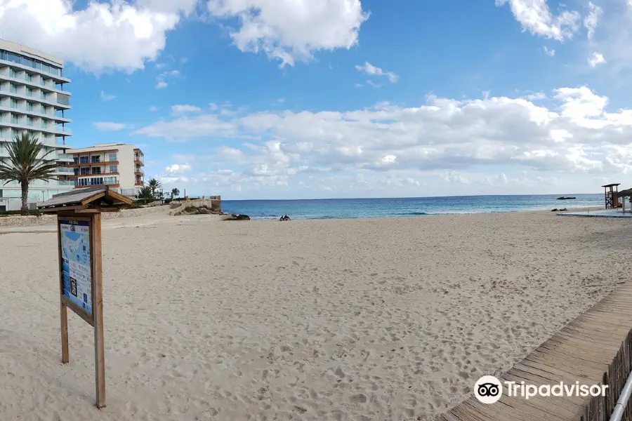 Playa de Son Moll