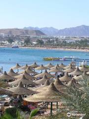 Naama Bay