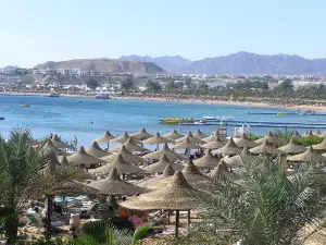 Naama Bay