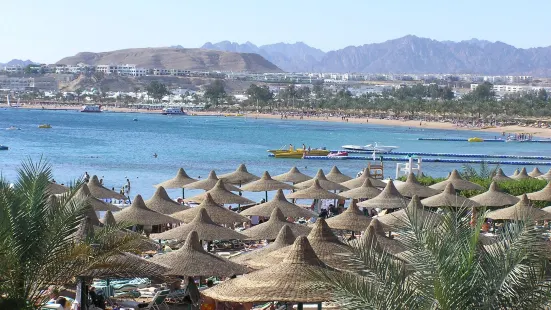 Naama Bay