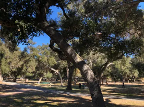 ライブ・オーク郡立公園