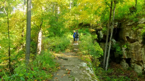 Pomona Natural Bridge