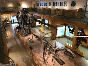 University of Wyoming Geological Museum