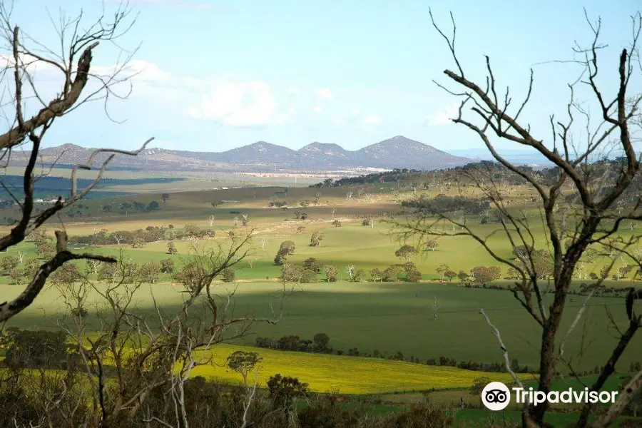 You Yangs Regional Park