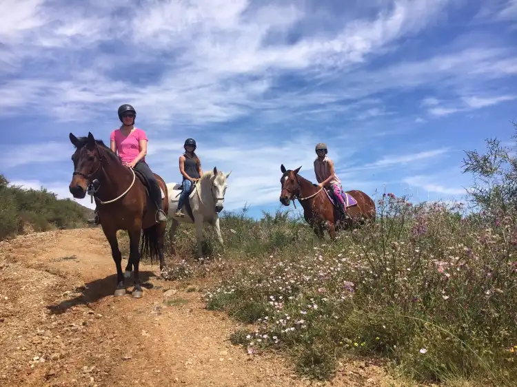 Hotels near Rancho Acebuchal