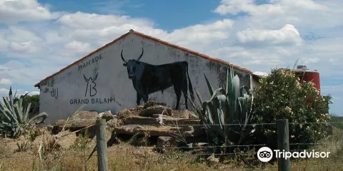 Manade du Grand Salan