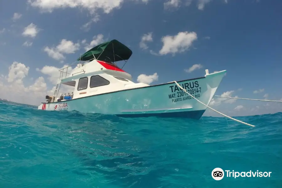 Scuba Diving Cancun