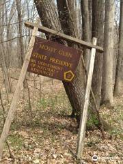 Mossy Glen State Preserve