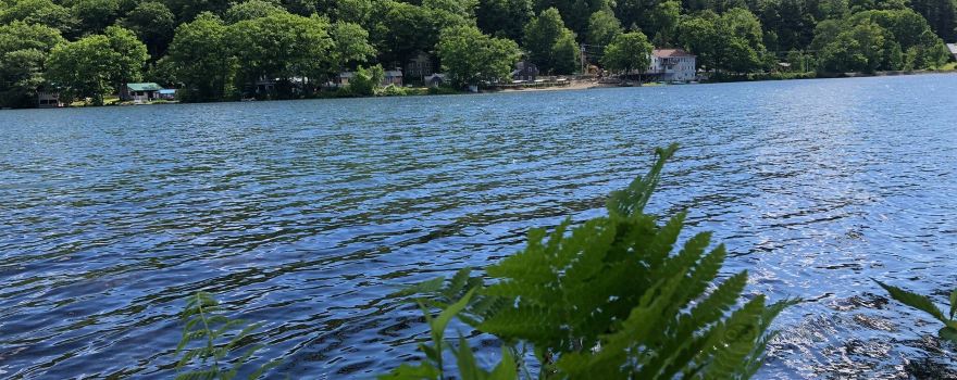 Ashfield Lake