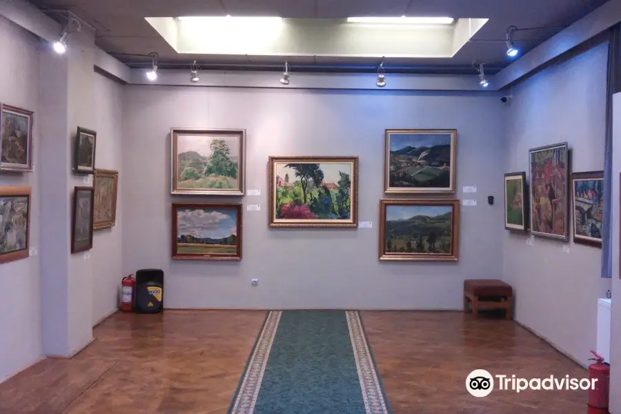County Museum of Art «Baia Mare Artistic Centre»