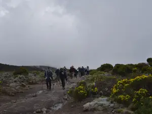 Popote Afrika Abenteuer