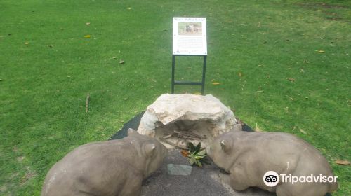 Wombat Statues - Moonta