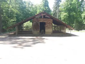 Wildpark Eichert