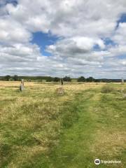 Mitchell's Fold Stone Circle