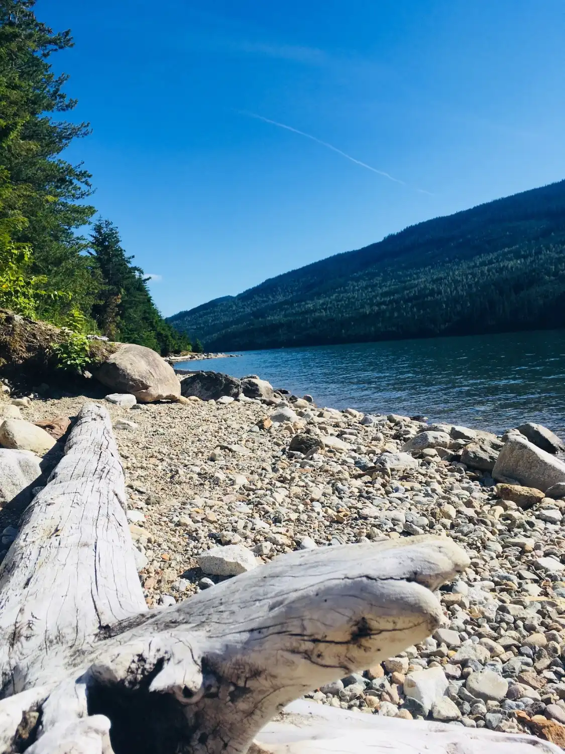 Hotel dekat Martha Creek Provincial Park