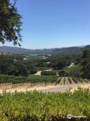 Buehler Vineyards