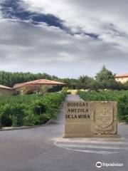 Bodegas Amezola de la Mora