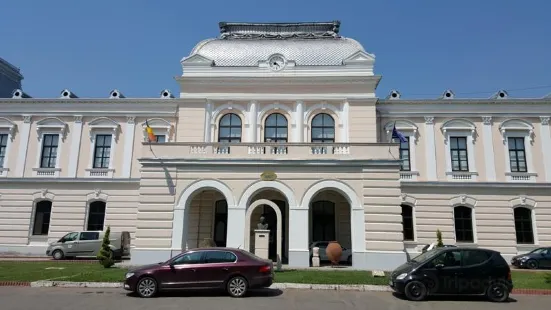 Vasile Parvan Museum Barlad