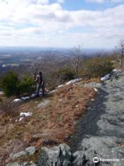 Buffalo Mountain Natural Area Preserve