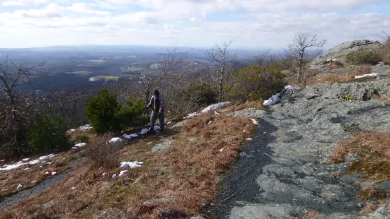 Buffalo Mountain Natural Area Preserve