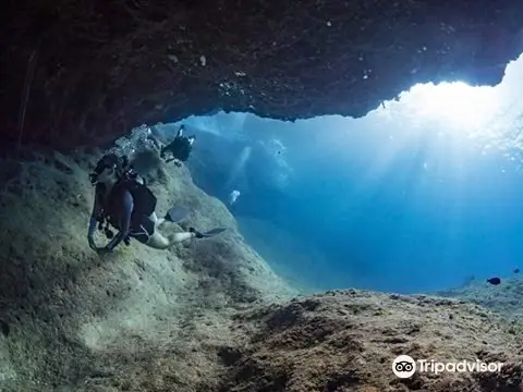 Blue Persuasion Diving Guam