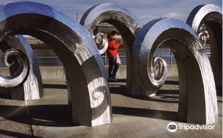 The Lake Washington Ship Canal Fish Ladder